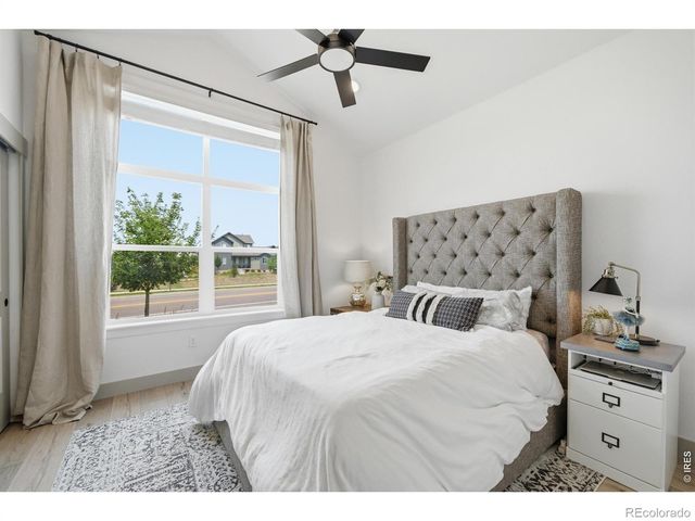 6101 Bouganville Boulevard, Timnath, CO 80547
