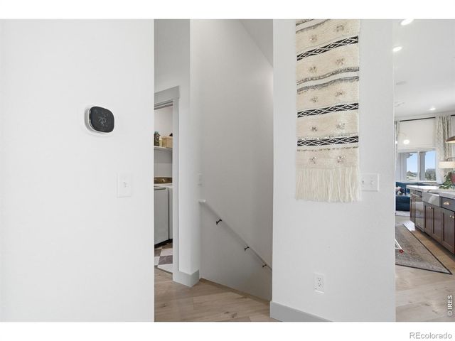 6101 Bouganville Boulevard, Timnath, CO 80547
