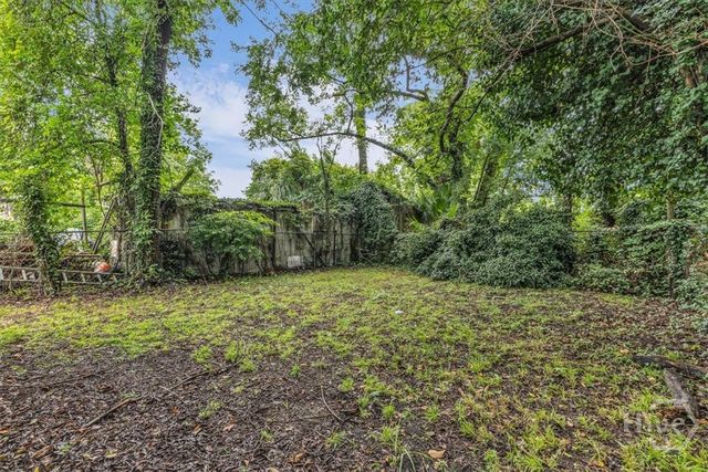 917 Elliott Avenue, Savannah, GA 31415