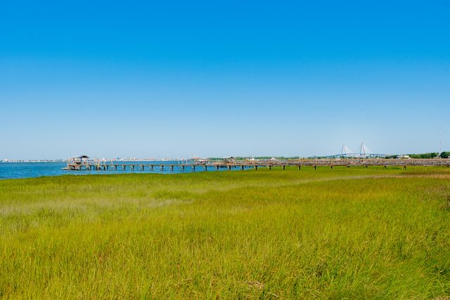 733 Atlantic Street, Mount Pleasant, SC 29464