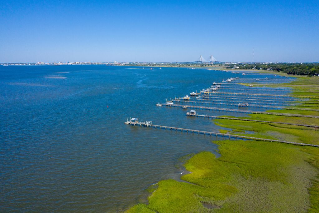 Image 43 of property listing at 733 Atlantic Street, Mount Pleasant, SC 29464