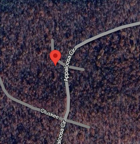 Lot 02 Wimic Trace, Cherokee Village, AR 72529