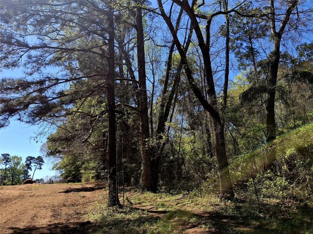 435 Fm 2064 N, Jacksonville, TX 75766