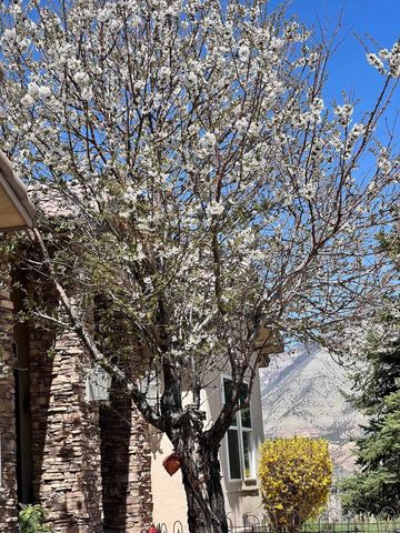 233 Meadow Creek Drive, Parachute, CO 81635