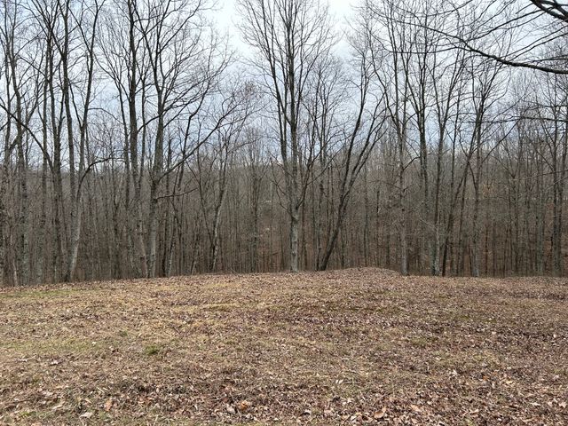 0 Tug Dr, Waverly, TN 37185