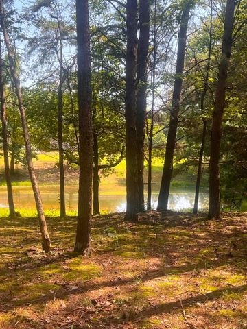 419 Friendship Lane, Delano, TN 37325