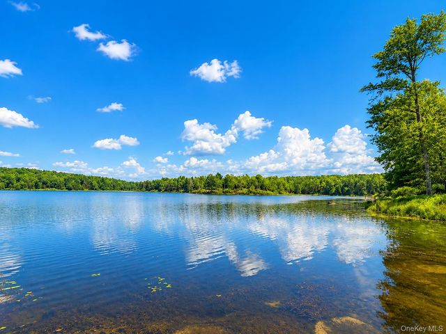 94-100 Dingle Daisy Road, Monticello, NY 12701