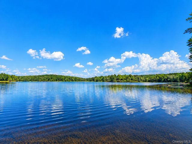 94-100 Dingle Daisy Road, Monticello, NY 12701