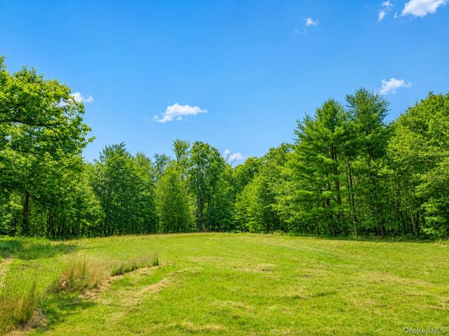 94-100 Dingle Daisy Road, Monticello, NY 12701