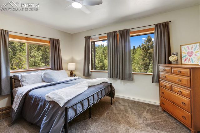 104 Mt Elbert Drive, Florissant, CO 80816