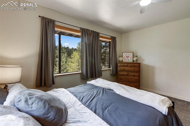 104 Mt Elbert Drive, Florissant, CO 80816