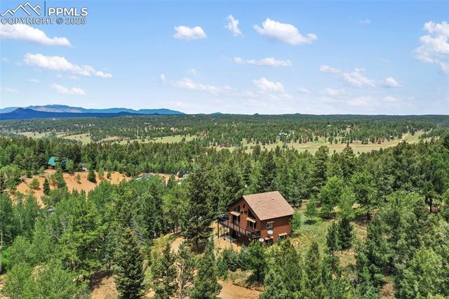 104 Mt Elbert Drive, Florissant, CO 80816