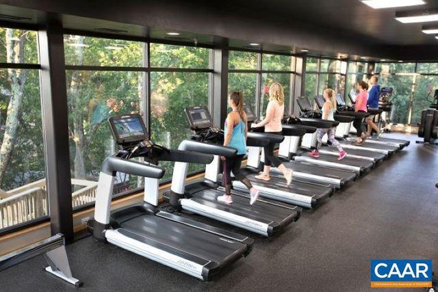 340 CHESTNUT PL PL, Wintergreen Resort, VA 22967