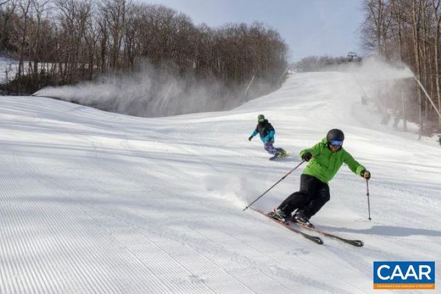 340 CHESTNUT PL PL, Wintergreen Resort, VA 22967