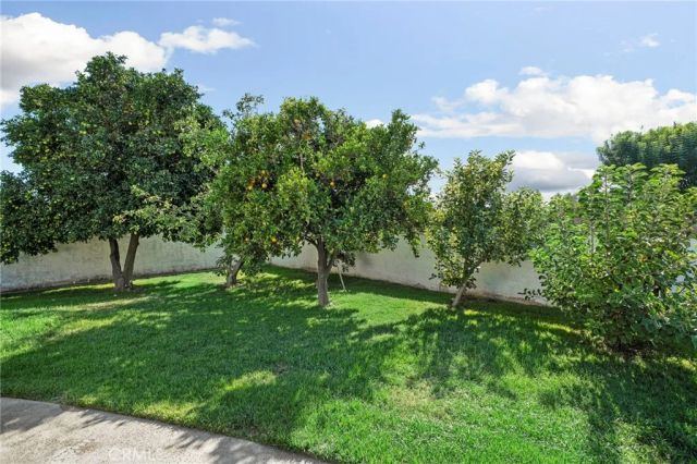 162 W Buffington, Upland, CA 91784