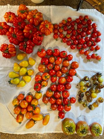 21520 Swafford Road, Battle Creek, MI 49017