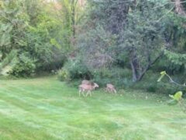 21520 Swafford Road, Battle Creek, MI 49017