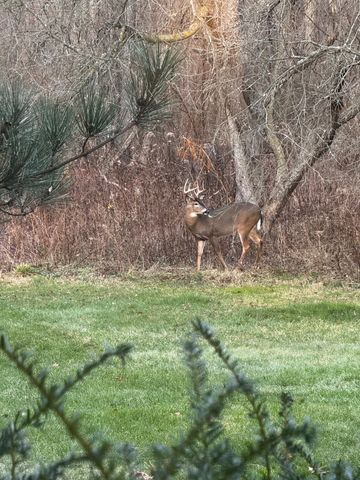 21520 Swafford Road, Battle Creek, MI 49017