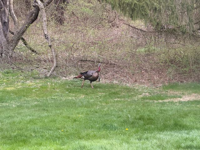 21520 Swafford Road, Battle Creek, MI 49017