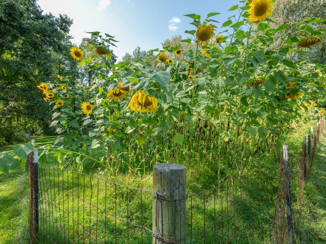 21520 Swafford Road, Battle Creek, MI 49017