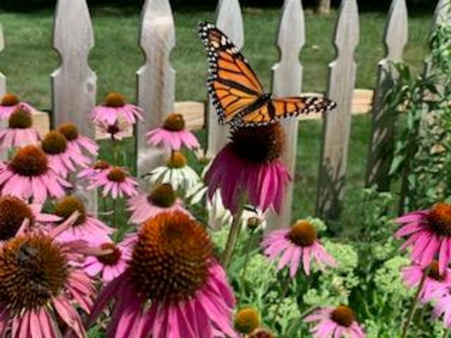 21520 Swafford Road, Battle Creek, MI 49017