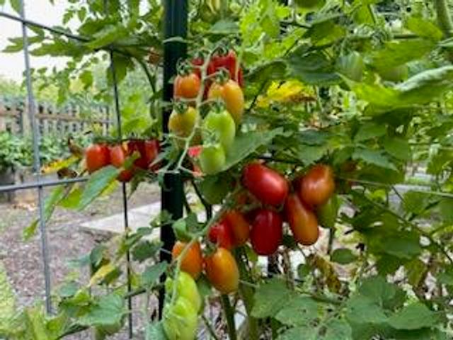 21520 Swafford Road, Battle Creek, MI 49017