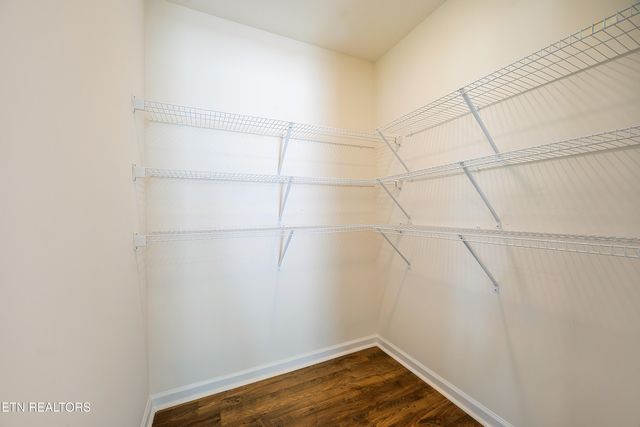 5055 Cotton Seed Way, Morristown, TN 37813