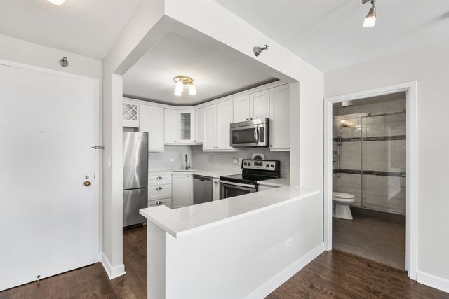 111 W Maple Street 1711, Chicago, IL 60610