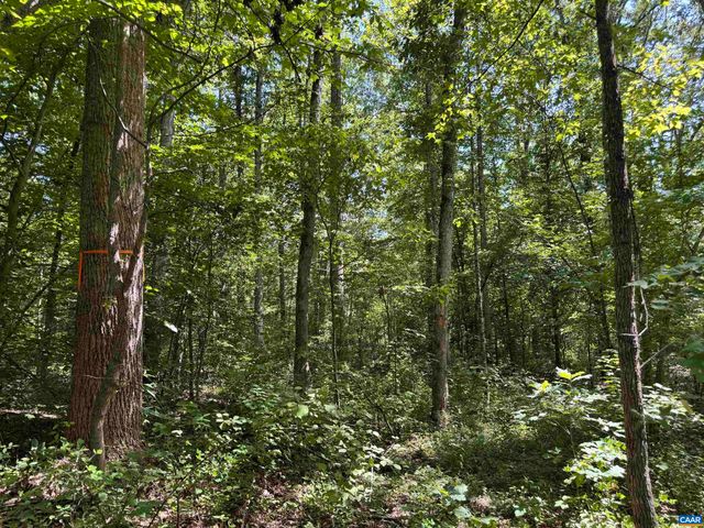 0 BAMBI CT, Beaverdam, VA 23015