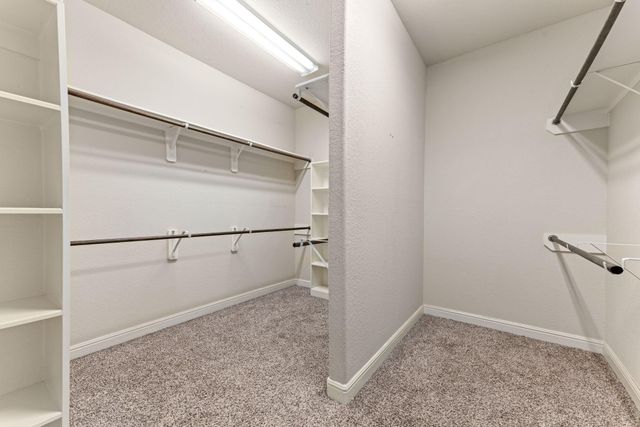 23827 Padauk Tree Trail, Katy, TX 77493