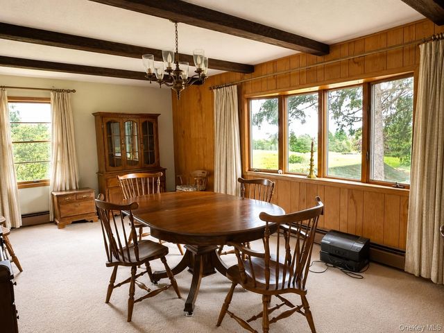 51 Shandelee Lake Road, Livingston Manor, NY 12758