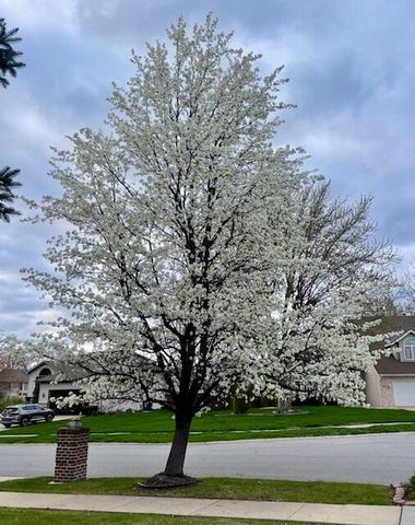 7412 Forest Ridge Drive, Schererville, IN 46375