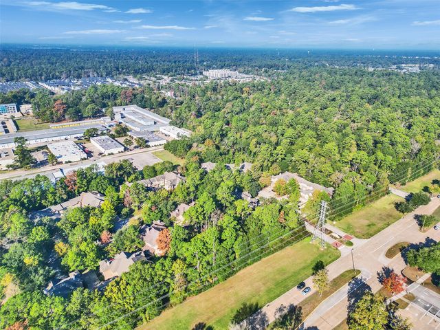 83 Scarlet Woods Court 83, The Woodlands, TX 77380