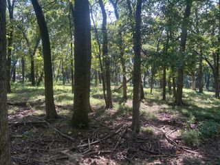 Lot 22 Blk 2 Coves, Afton, OK 74331