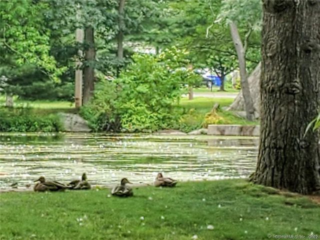 160 Fairfield Woods Road APT 46, Fairfield, CT 06825