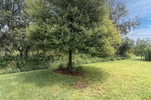 13709 STANSIL AVENUE, Odessa, FL 33556