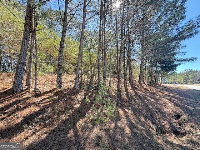 0 McDonough Parkway, Mcdonough, GA 30253