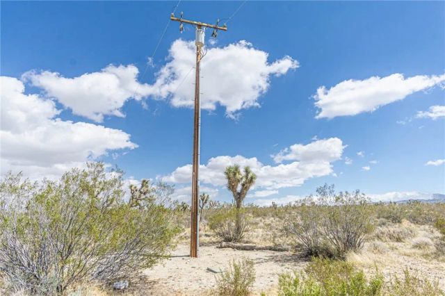 1323 Bear Valley, Pinon Hills, CA 92372
