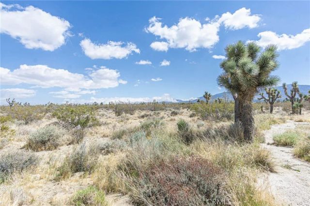 1323 Bear Valley, Pinon Hills, CA 92372