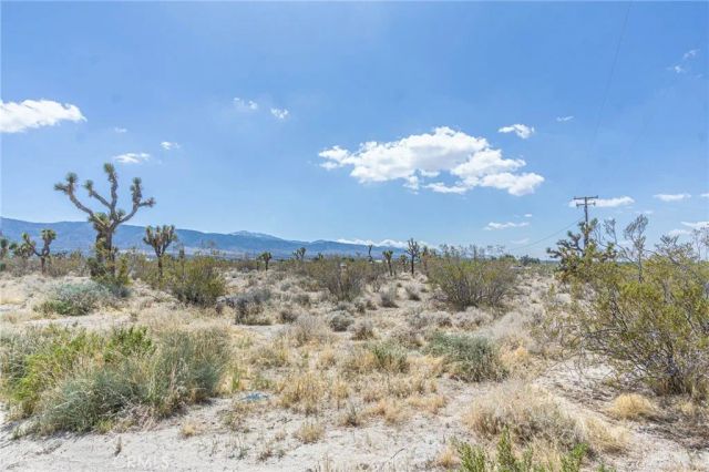 1323 Bear Valley, Pinon Hills, CA 92372