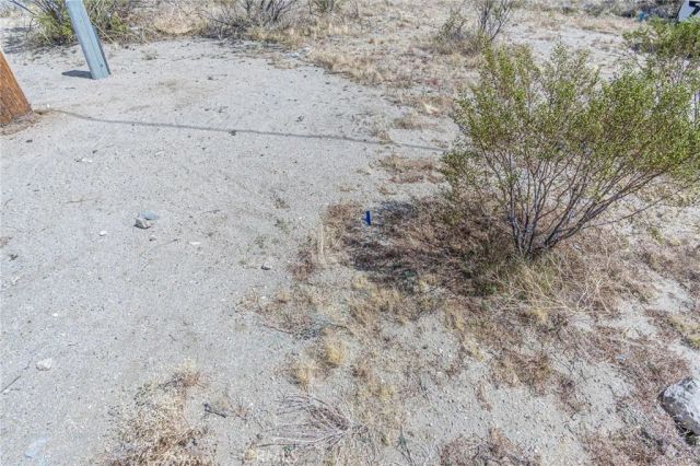 1323 Bear Valley, Pinon Hills, CA 92372