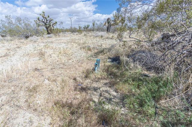 1323 Bear Valley, Pinon Hills, CA 92372