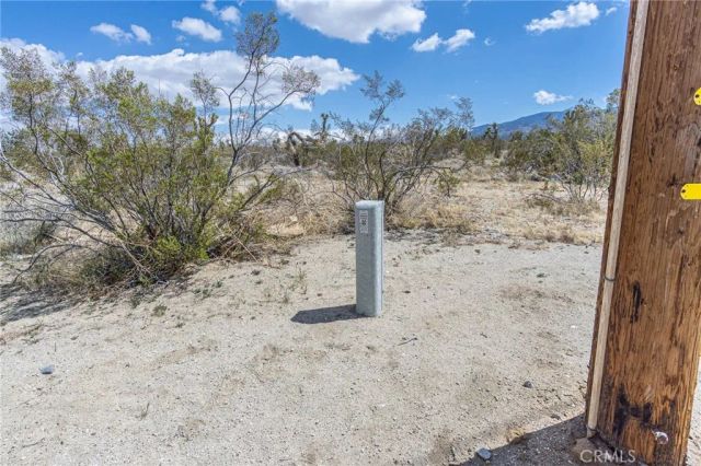 1323 Bear Valley, Pinon Hills, CA 92372