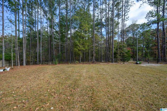 100 GLENSTONE DRIVE, Columbiana, AL 35051