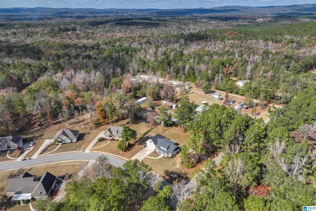 100 GLENSTONE DRIVE, Columbiana, AL 35051