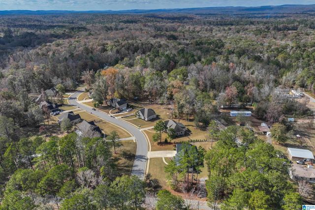 100 GLENSTONE DRIVE, Columbiana, AL 35051