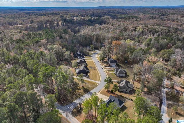 100 GLENSTONE DRIVE, Columbiana, AL 35051