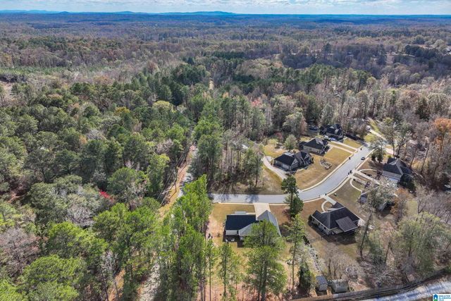 100 GLENSTONE DRIVE, Columbiana, AL 35051