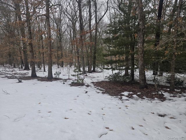 9 Haney Court, Manorville, NY 11949