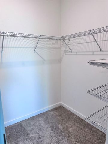 18741 NOBLE CASPIAN DRIVE, Lutz, FL 33558